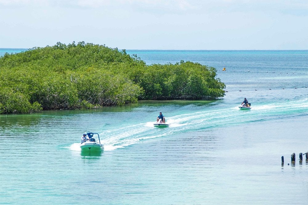 Jungle Tour Cancún