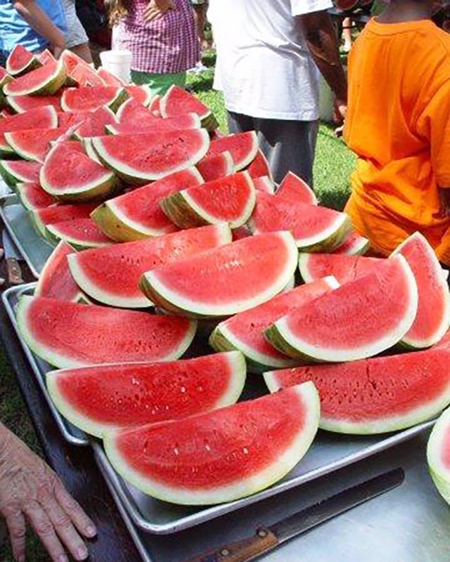 Watermelon Festival