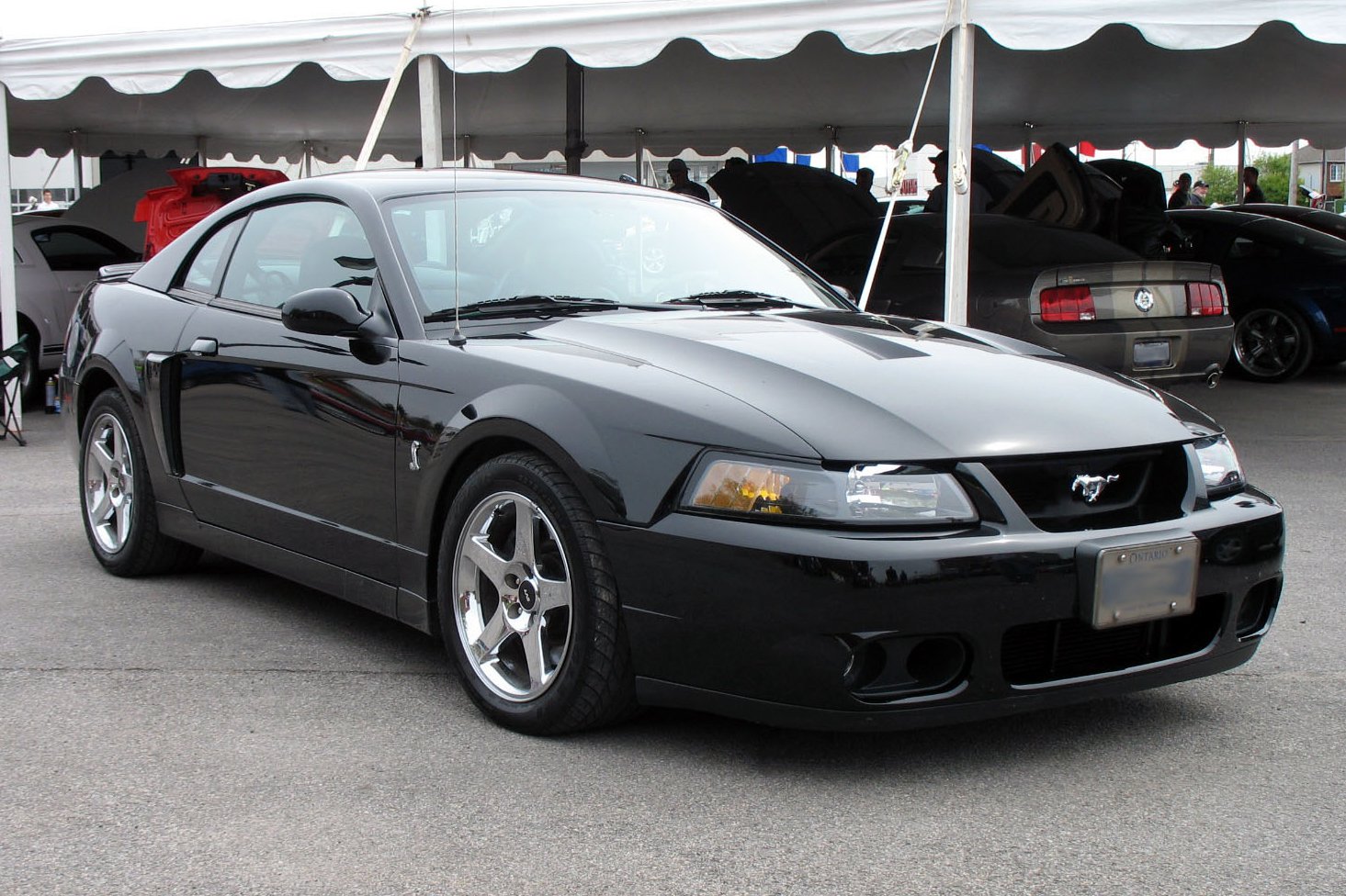 2003 SVT Mustang Cobra