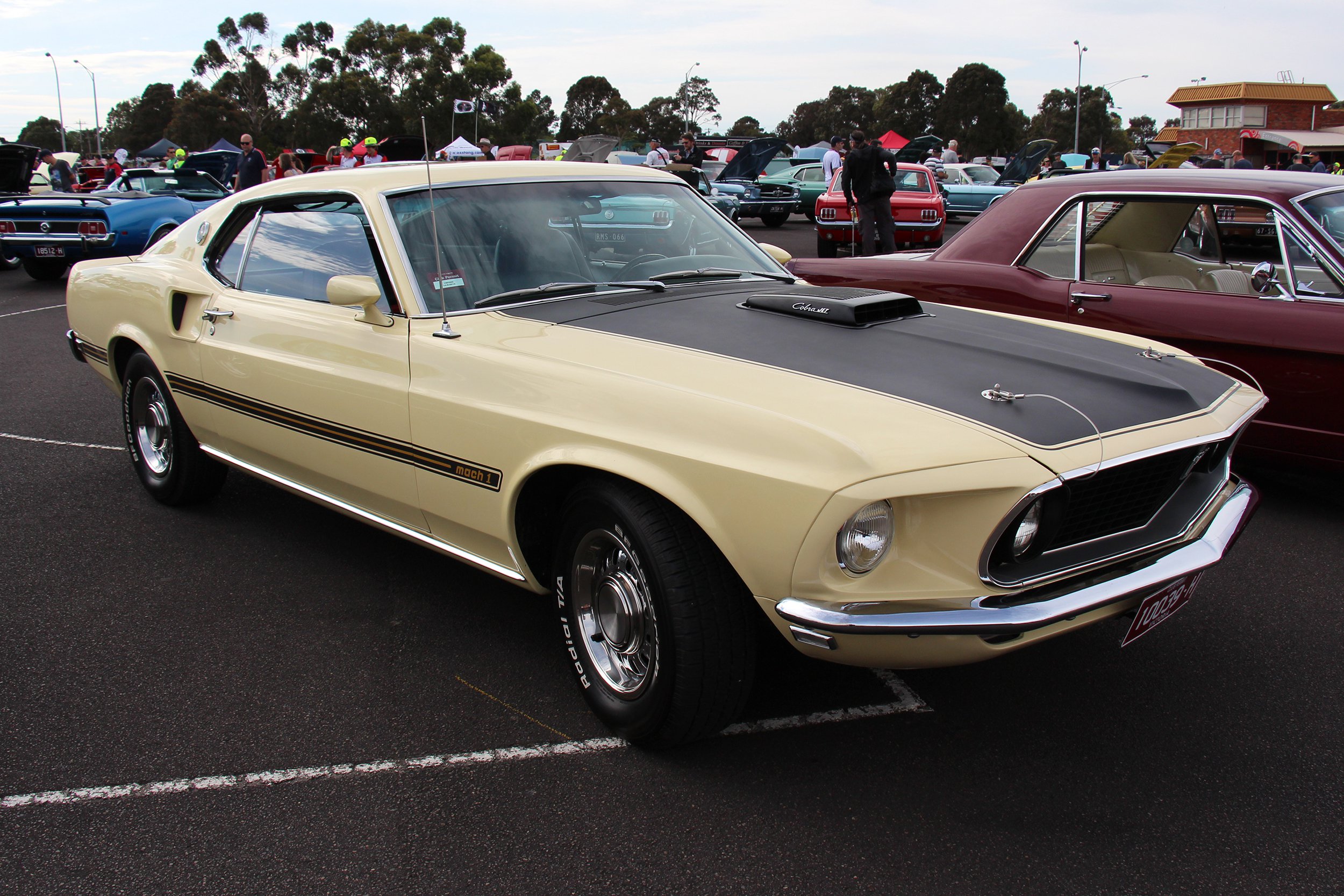 1969 Mach 1 Cobra Jet