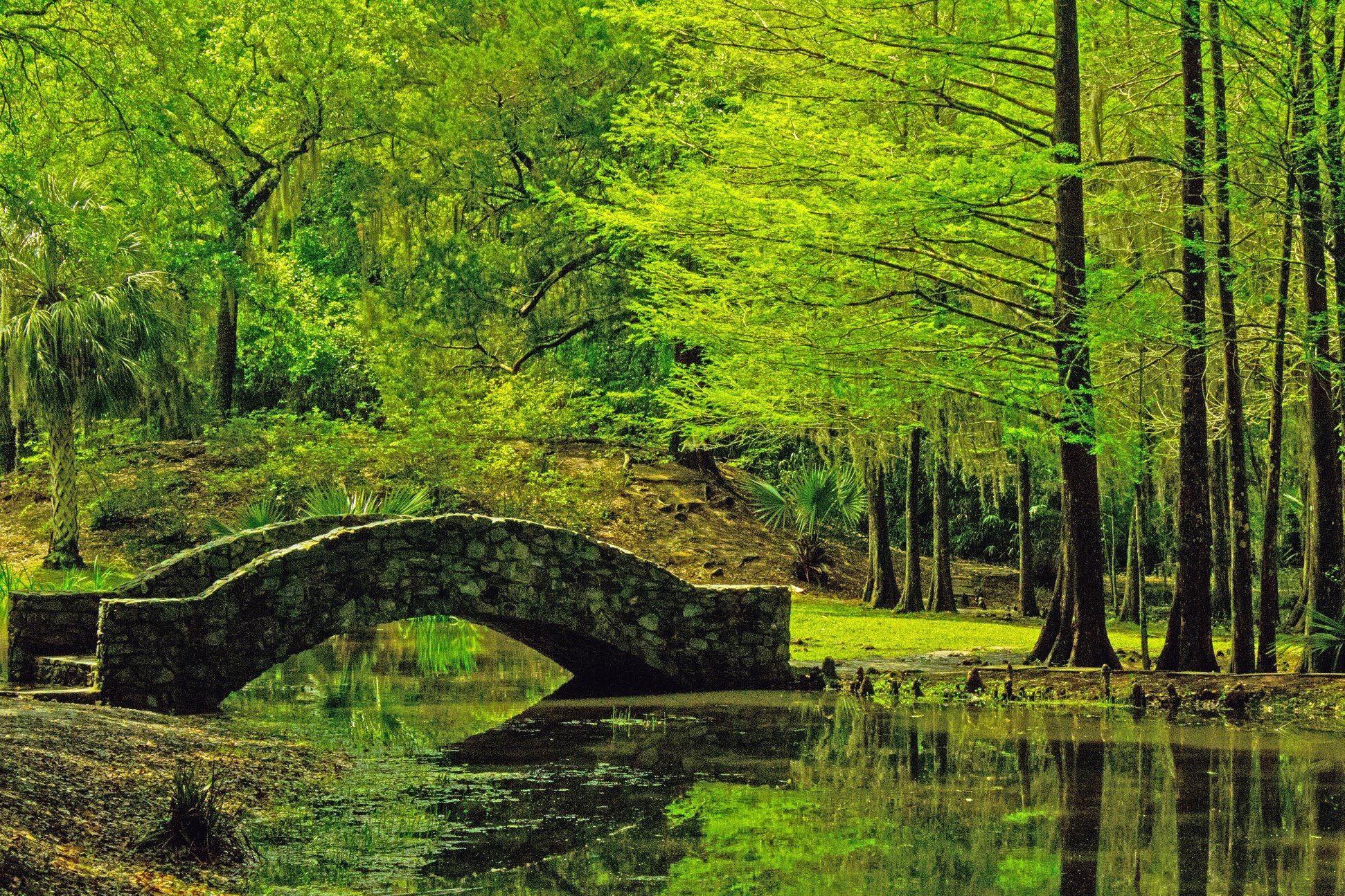 Jungle Gardens on Avery Island, Louisiana