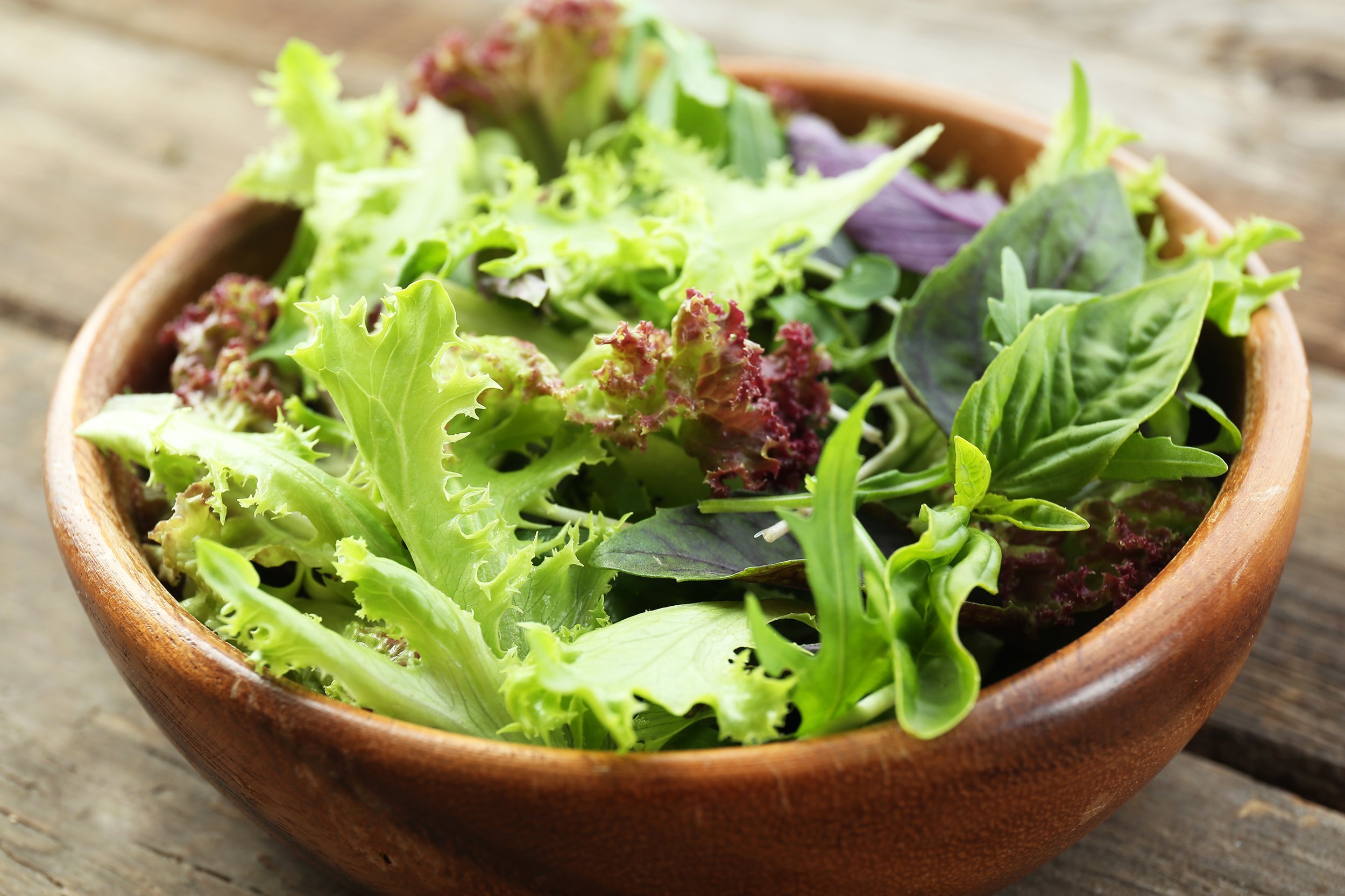 Young Lettuces Salad