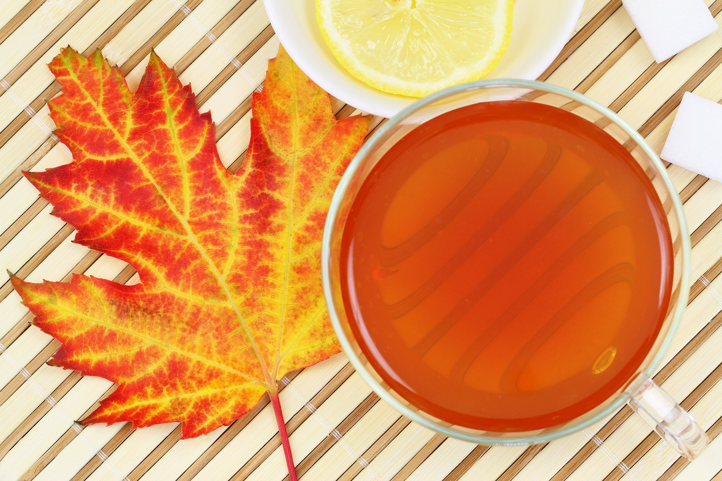 Lemon Maple
