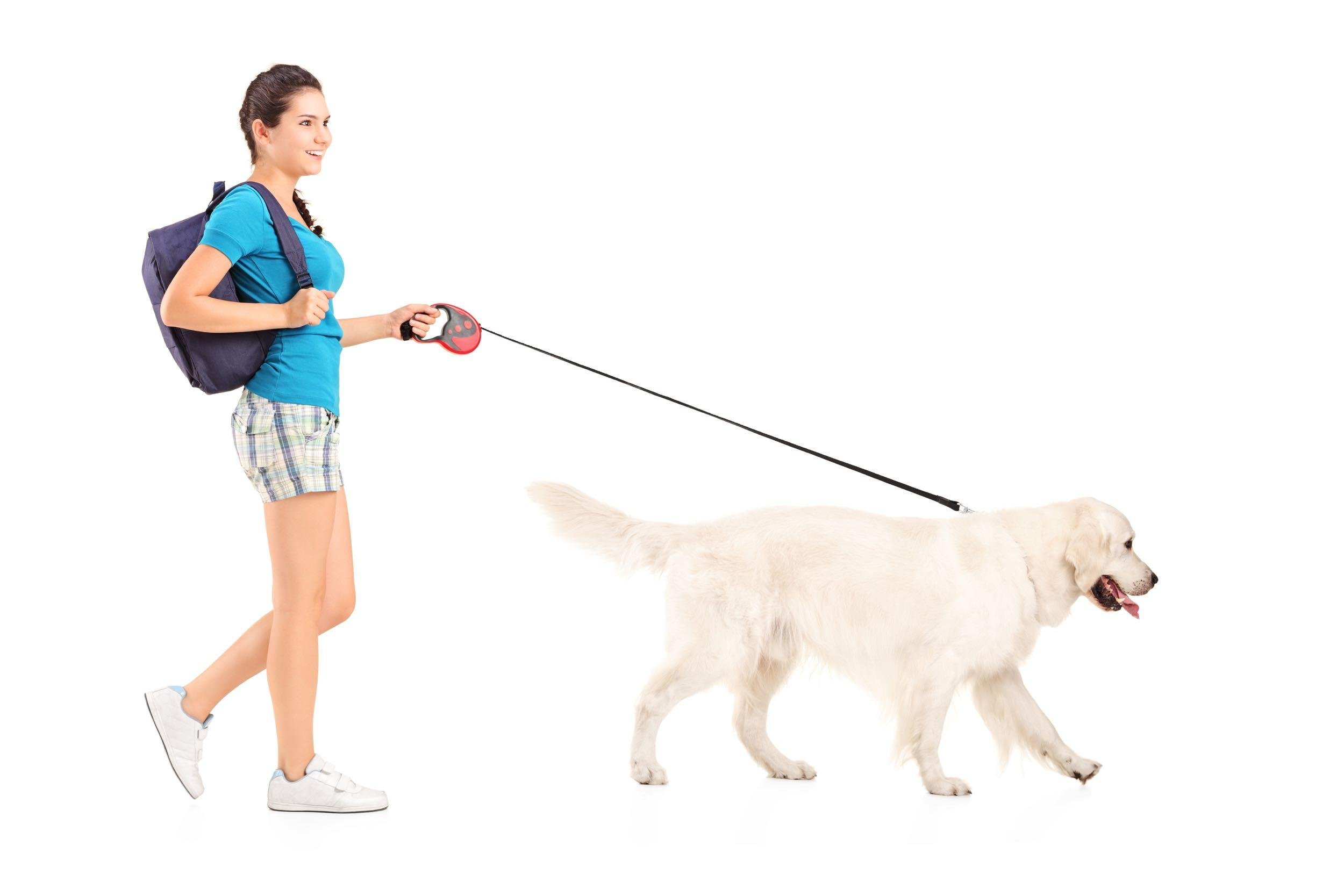 teen walking the dog