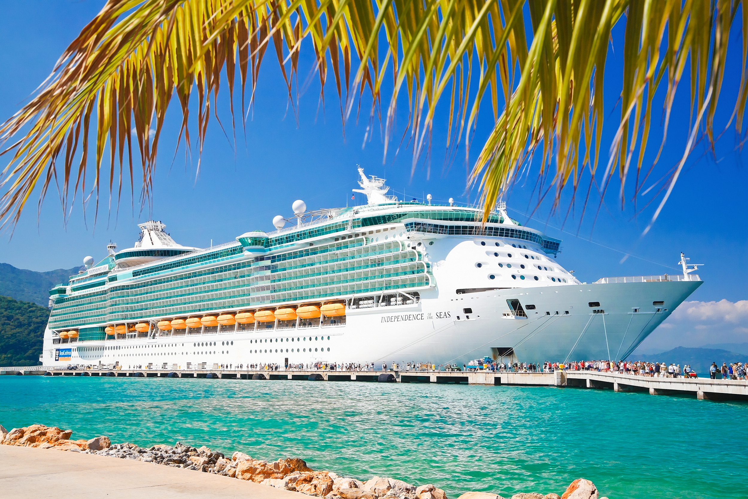 Cruise ship in a tropical setting