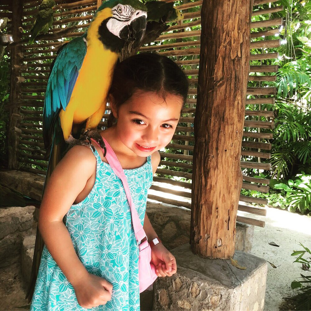 Little girl with a parrot on her shoulder at the Interactive Zoo