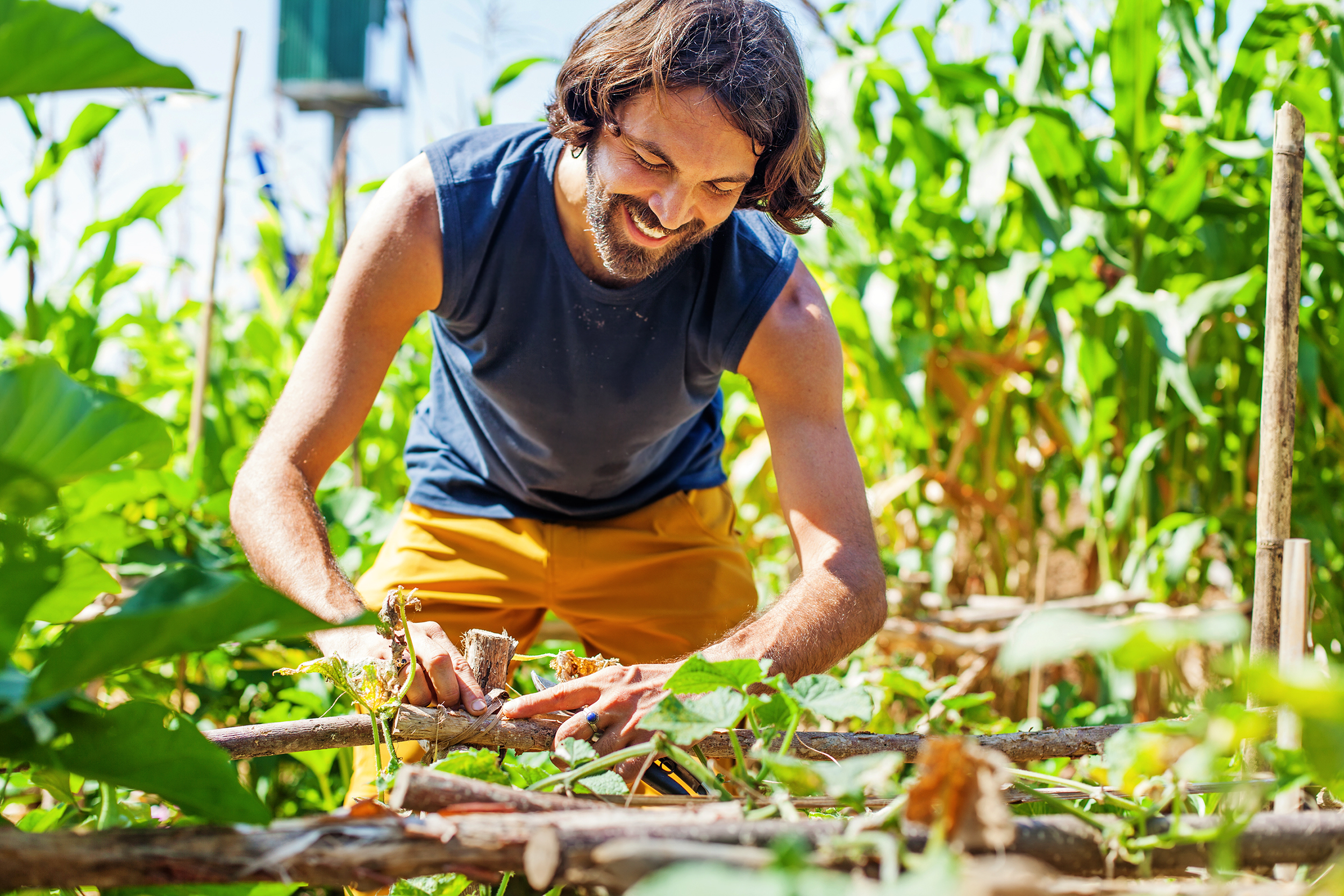 Man working as a volunteer on a farm