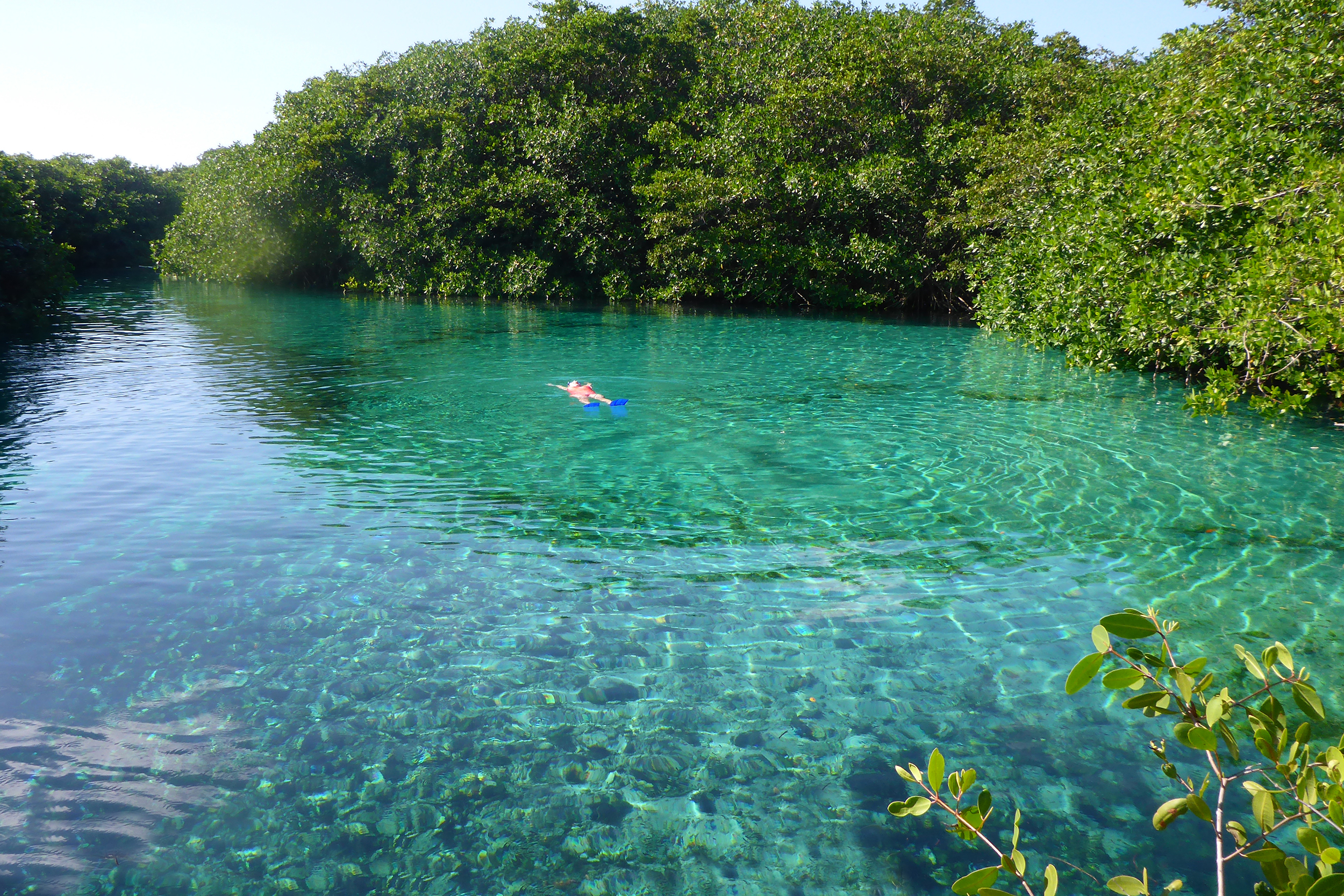 Casa Cenote in Cancun