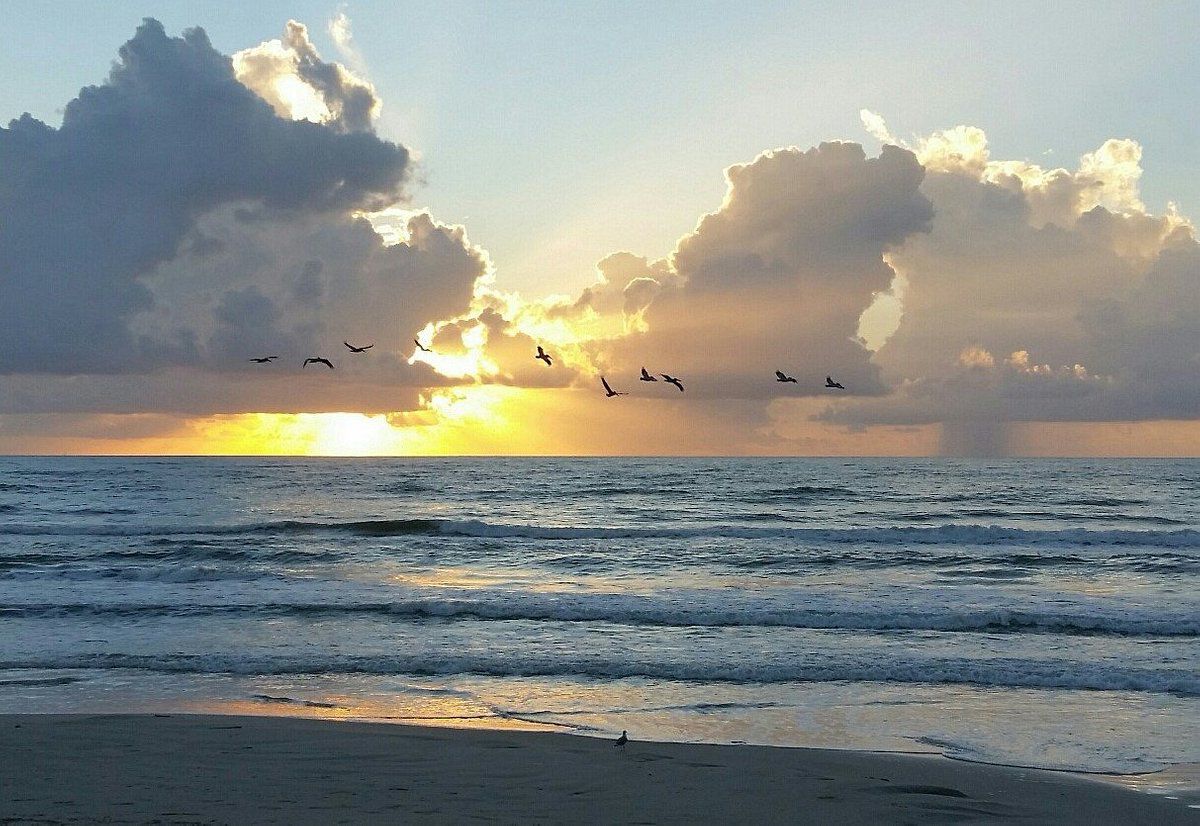 Padre Island National Seashore, Corpus Christi, Texas