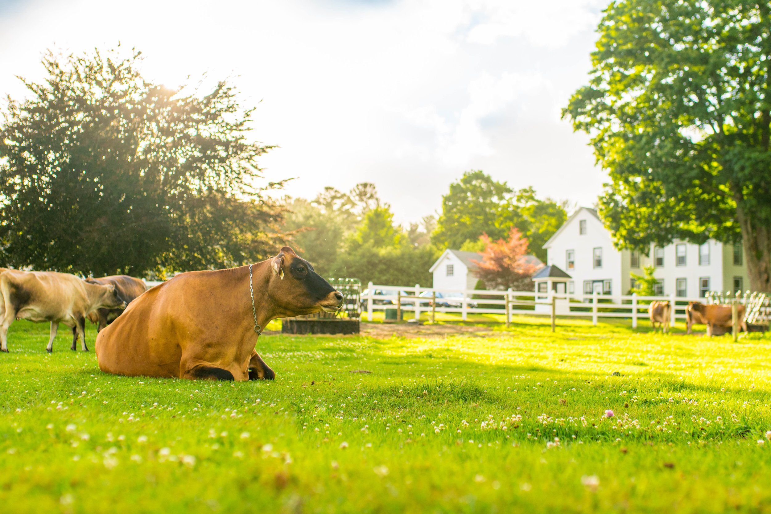 Arethusa Farm, Litchfield County, Connecticut