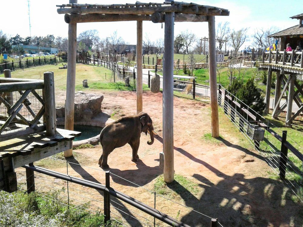 Oklahoma City Zoo, Oklahoma City