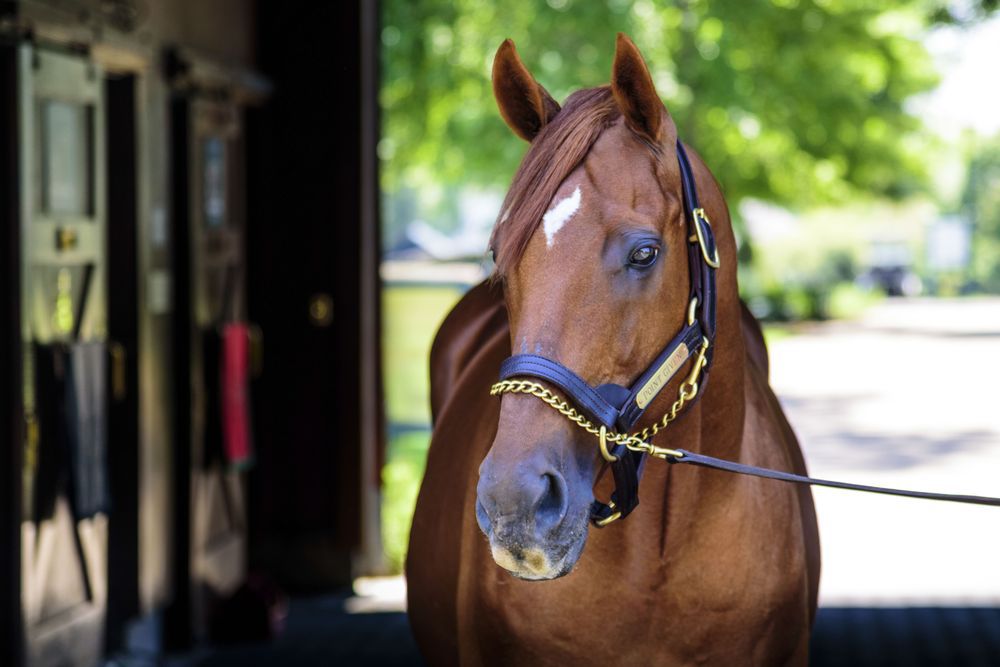 Kentucky Horse Park, Lexington