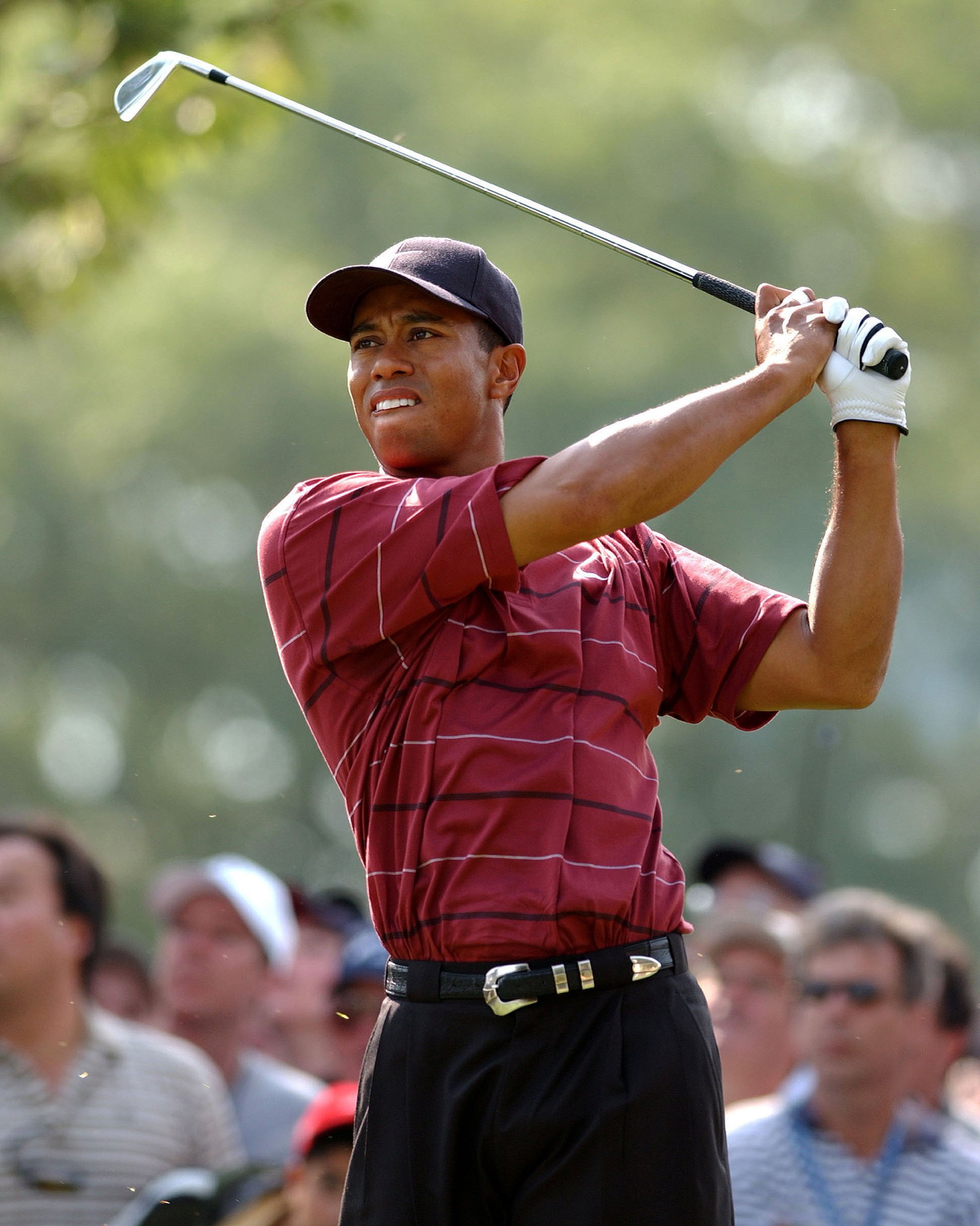 Tiger Woods