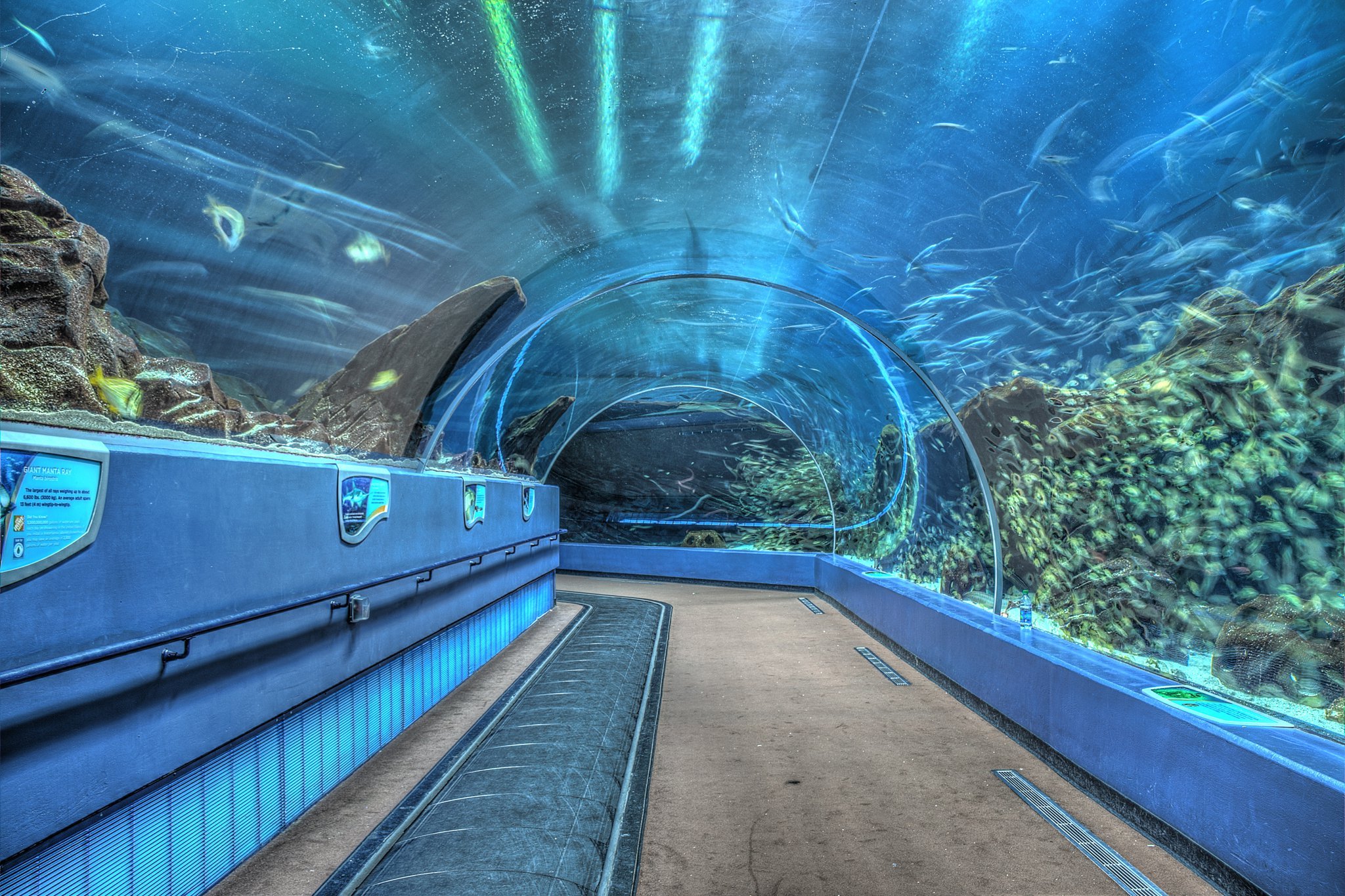 Georgia Aquarium, Atlanta