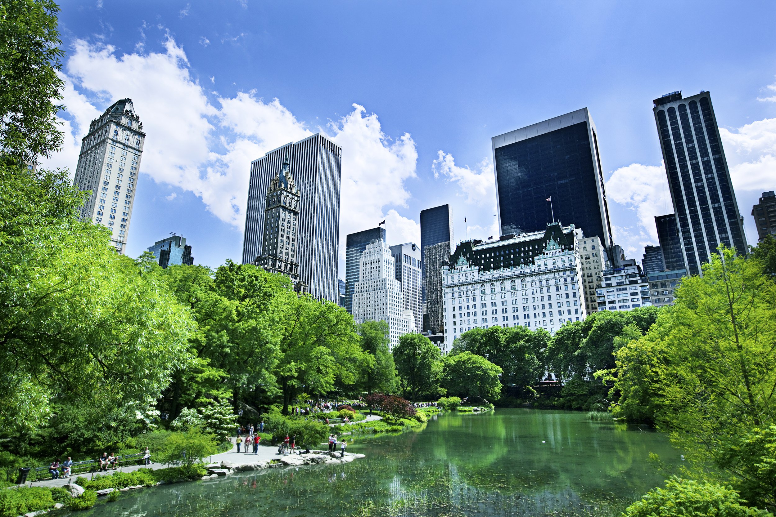 Central Park in New York City, NY
