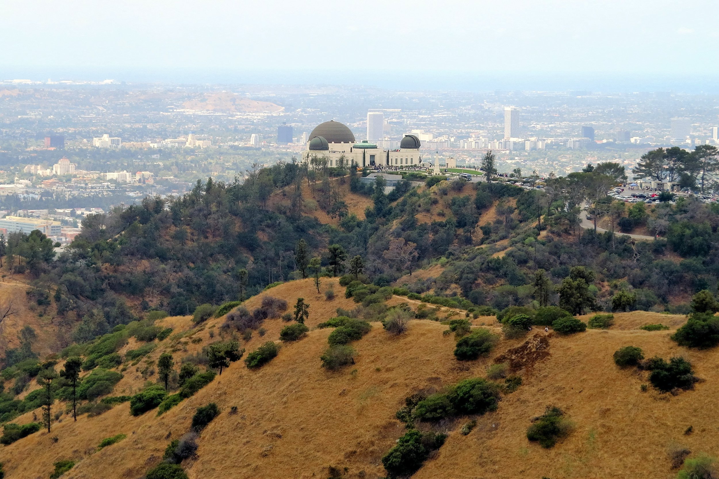 view of Los Angeles from Griffith Park