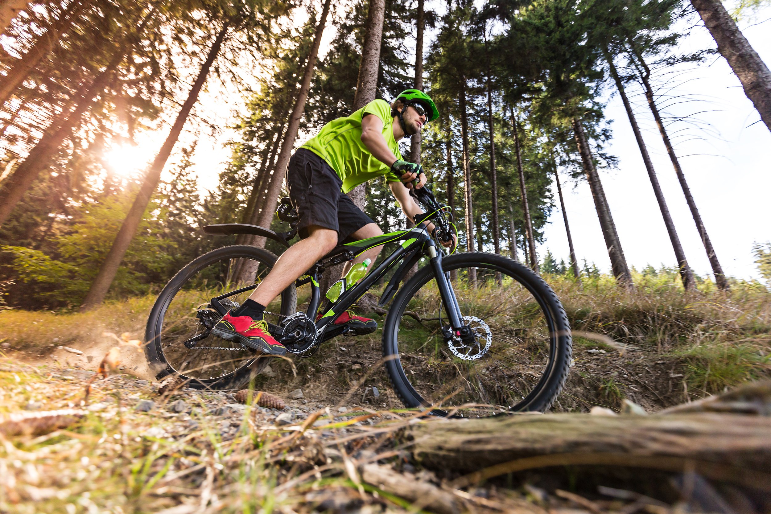 mountain biker in forest