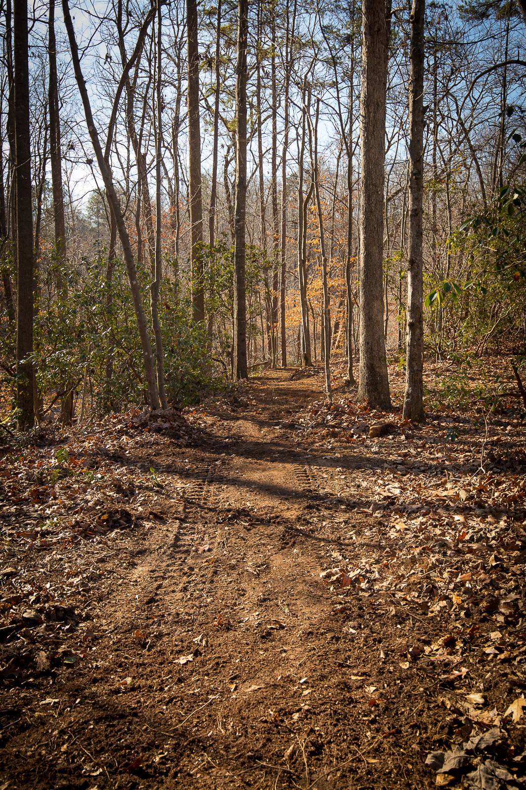 Chicopee Woods Mountain Bike Park, Georgia