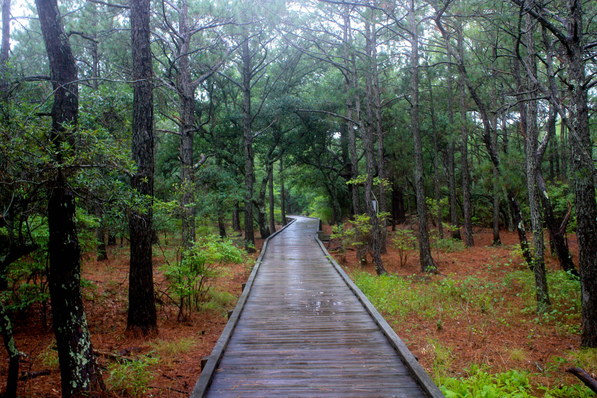 The Outer Banks, North Carolina