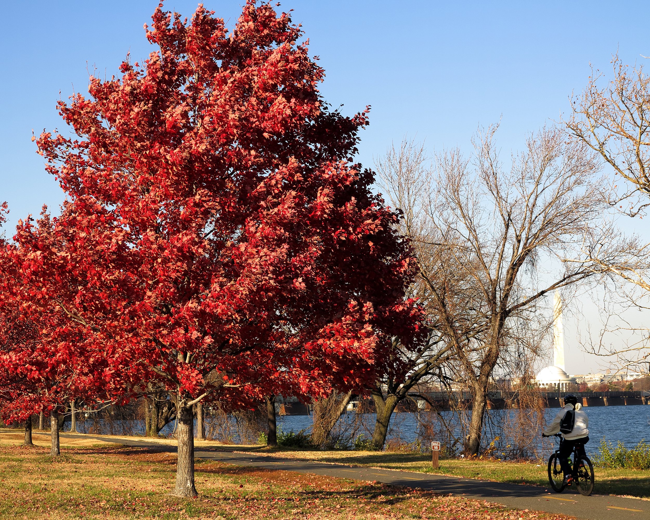 Mount Vernon Trail, Virginia