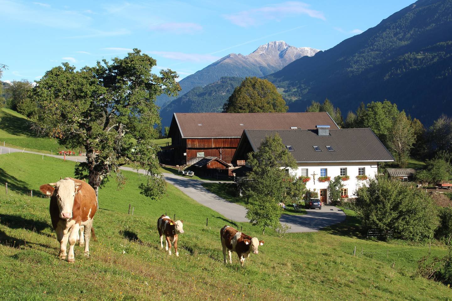 Austrian Farm Stay in Schlaiten, Austria