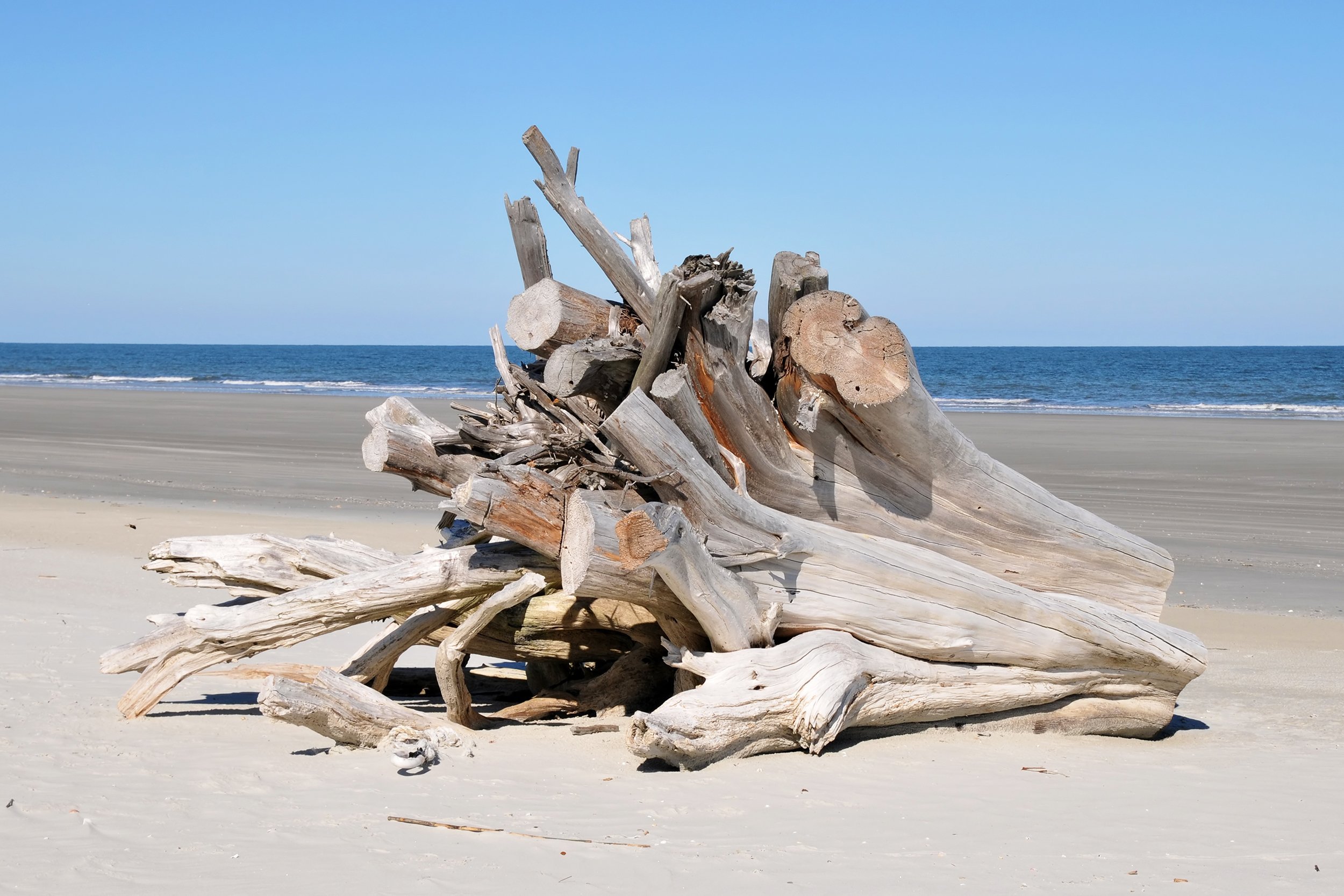 Sea Camp Campground, Cumberland Island, Georgia