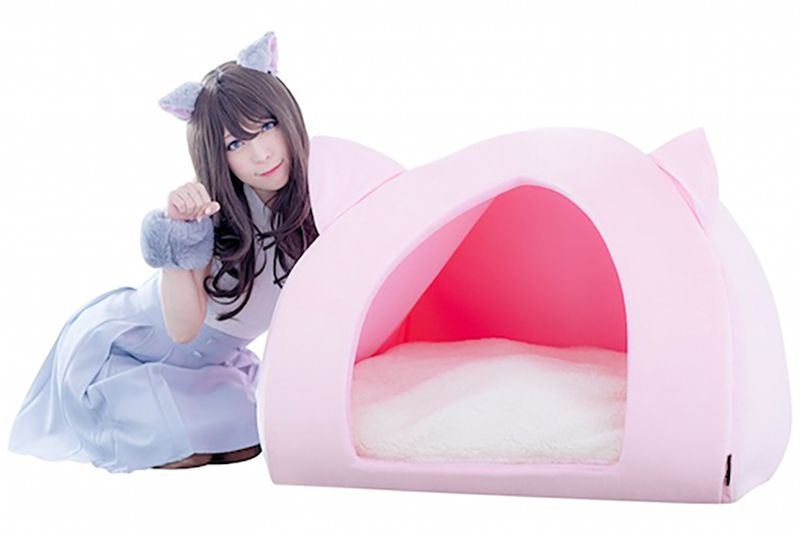 Human Pet House