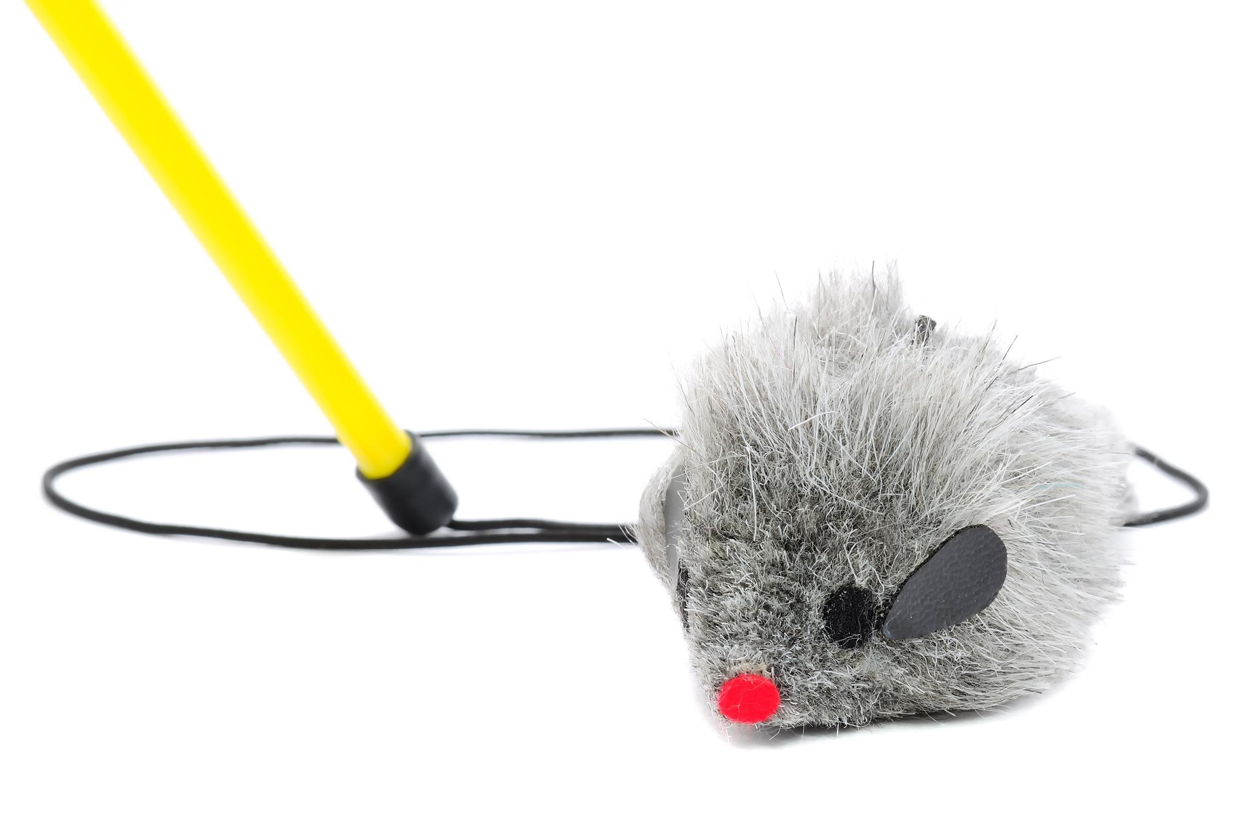 mouse on rope with pole