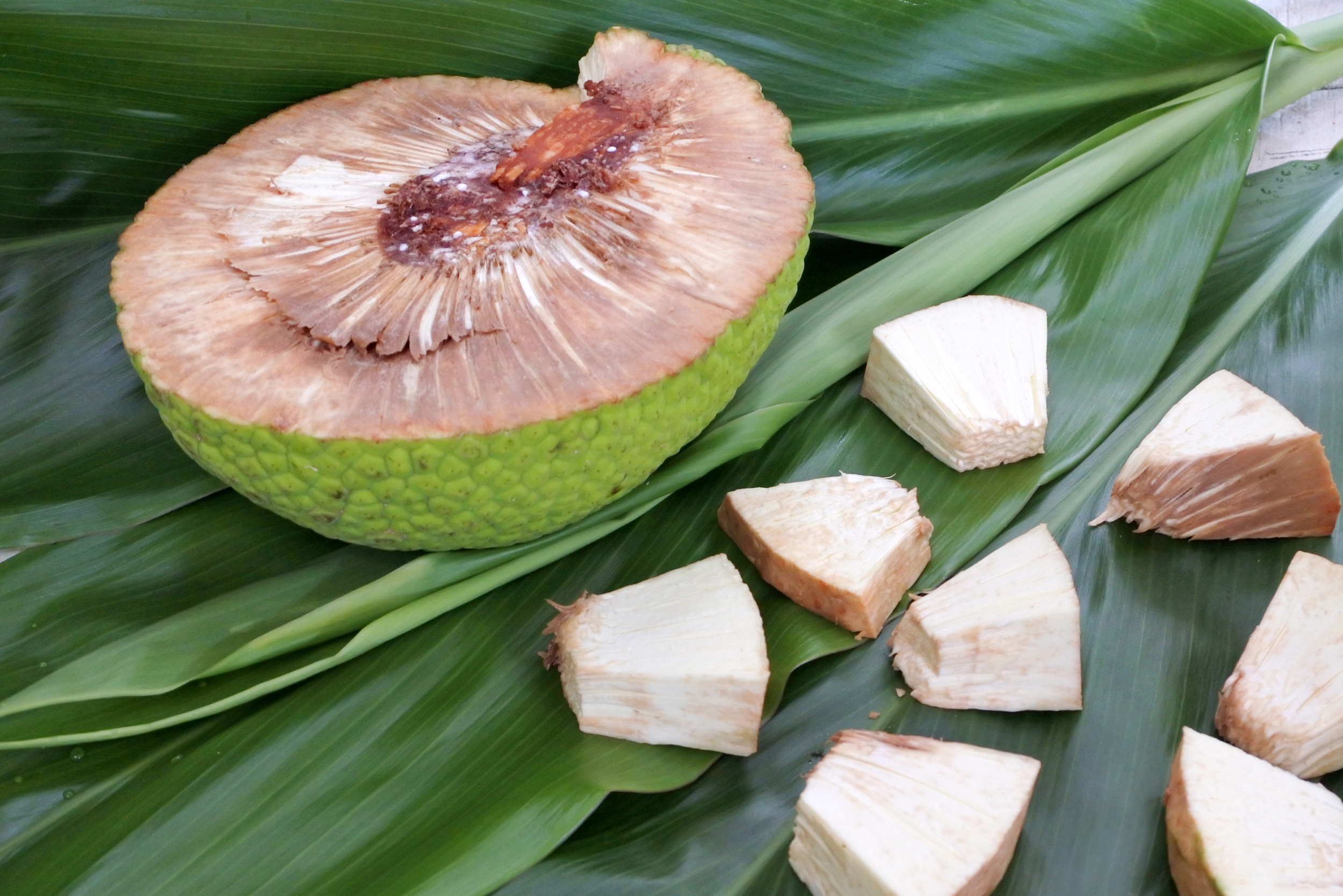 Breadfruit