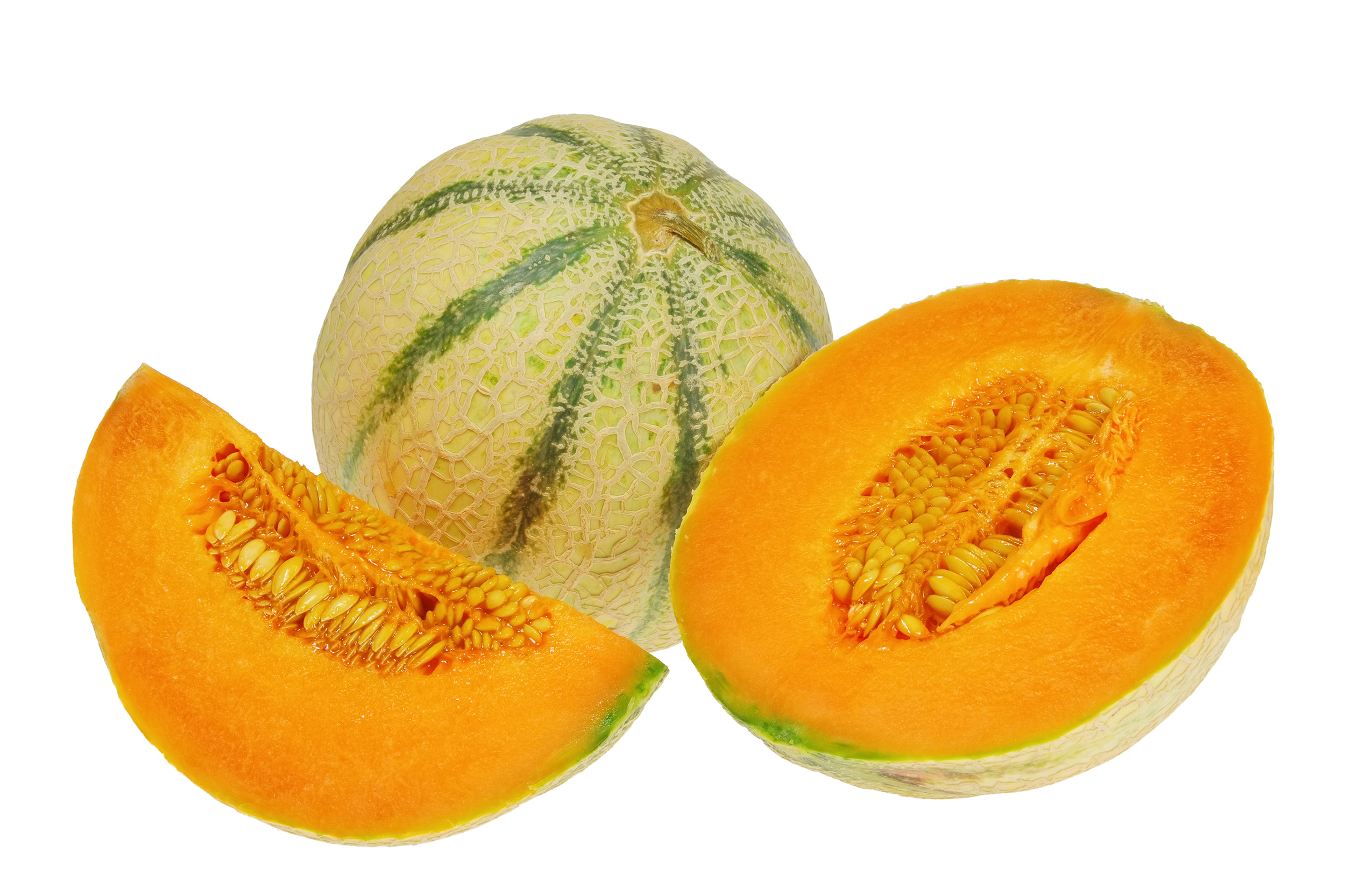 Charentais Melon