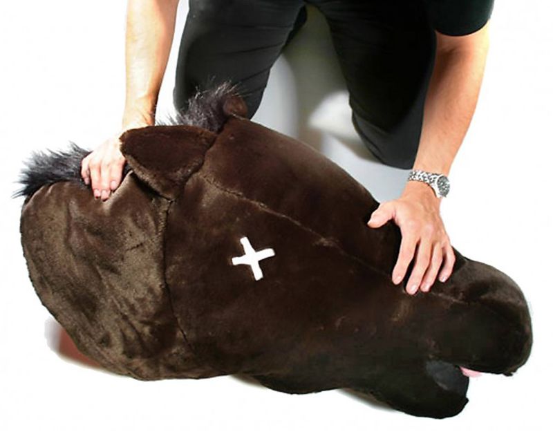 Horsehead Pillow