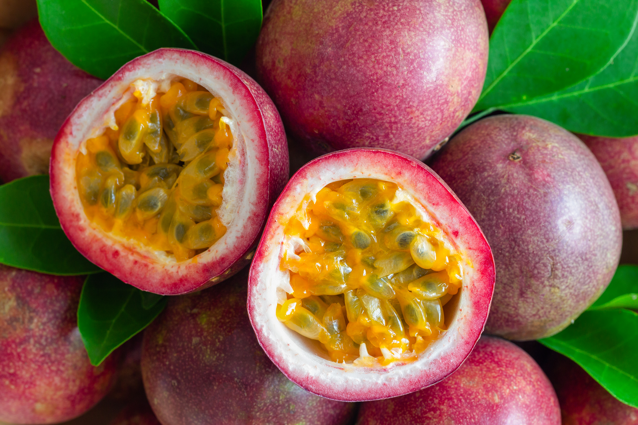 Passion Fruit