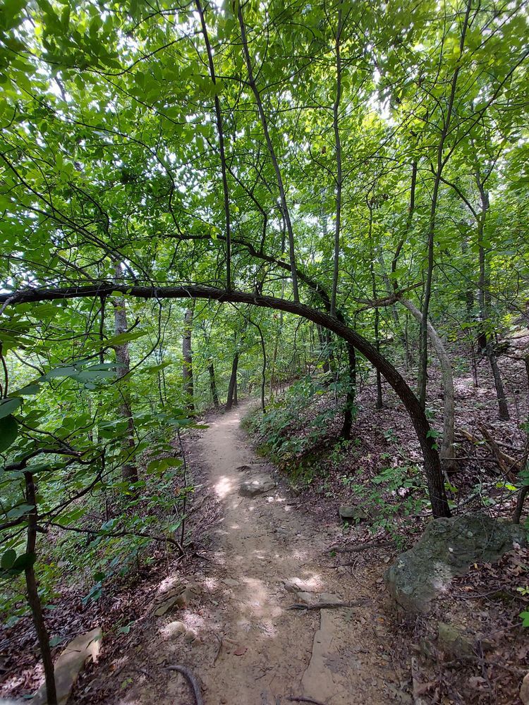 Turkey Mountain Urban Wilderness Area, Oklahoma