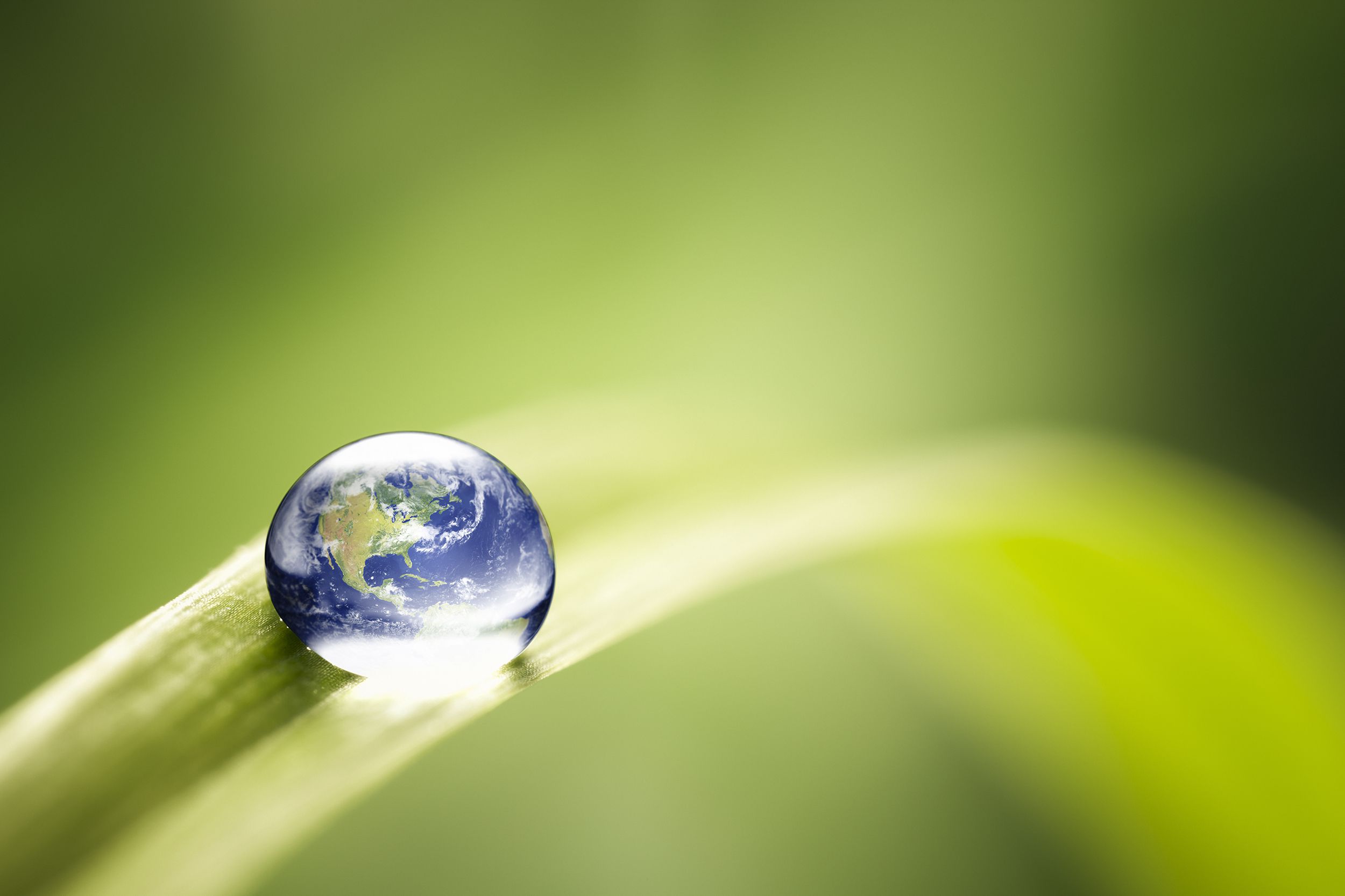 droplet of globe on blade of grass