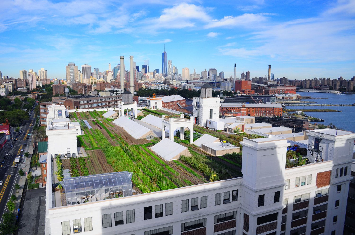 Brooklyn Grange Farm in New York City, New York