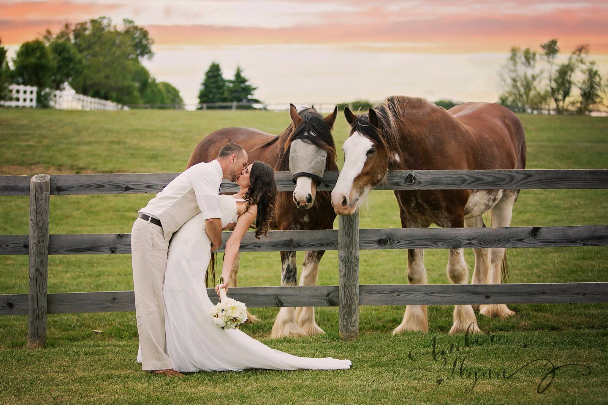 wedding in Virginia