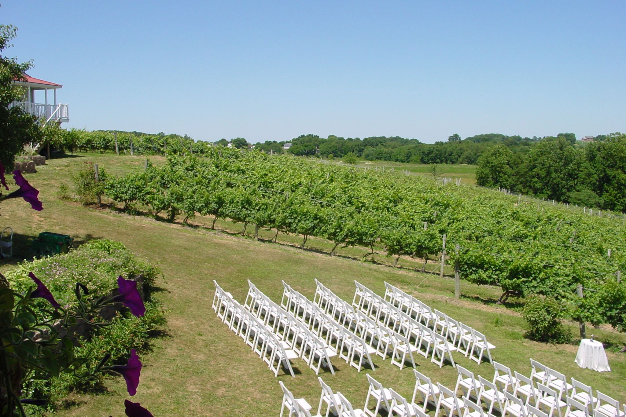 wedding in Maryland