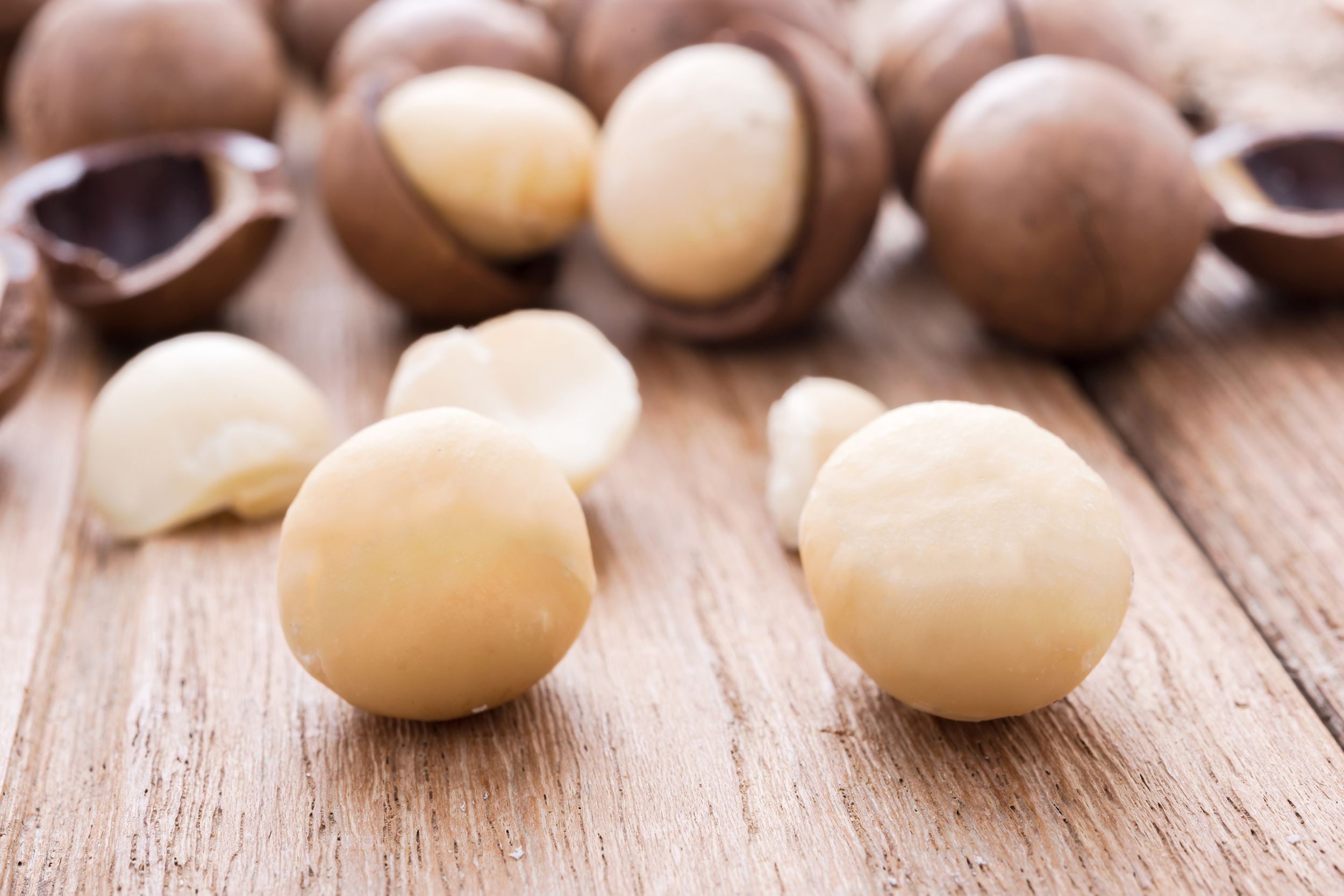 macadamia nuts