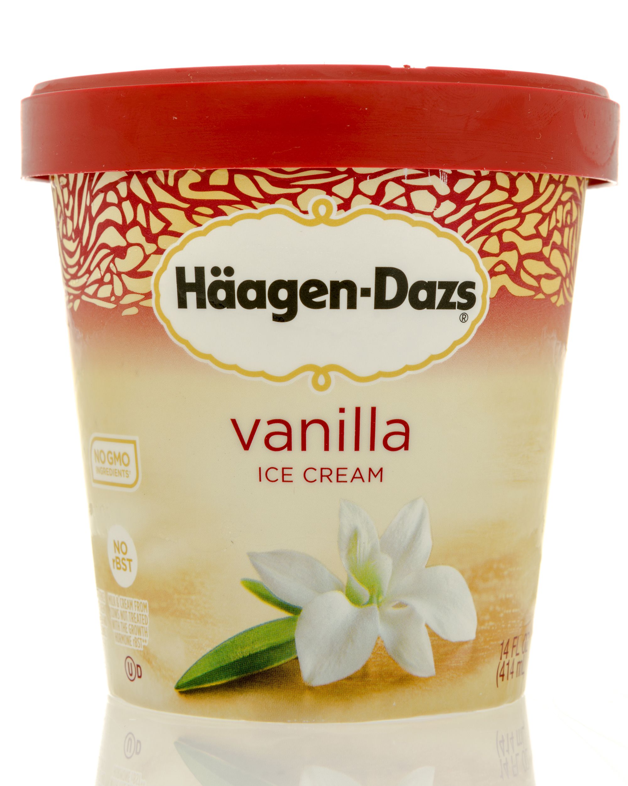 Haagen Dazs Vanilla Ice Cream