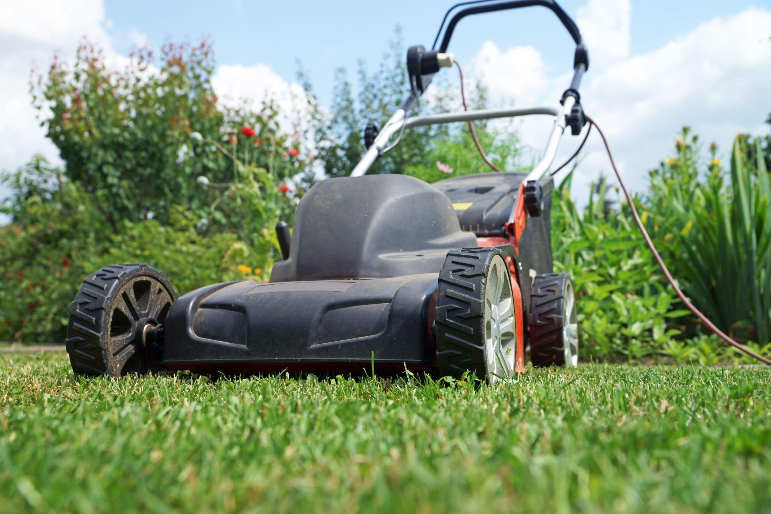 lawn mower on grass