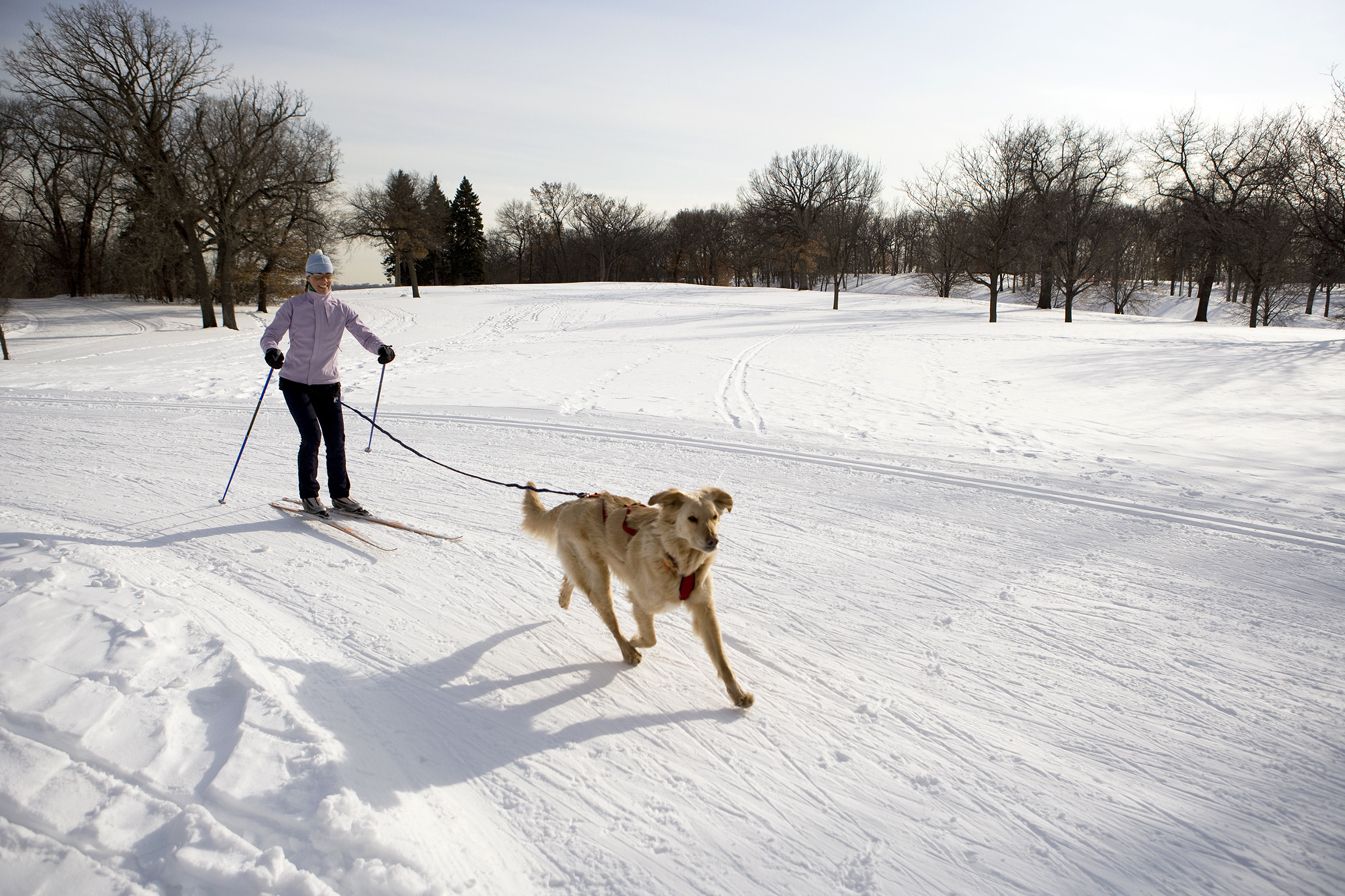 Woman skiing with her dog