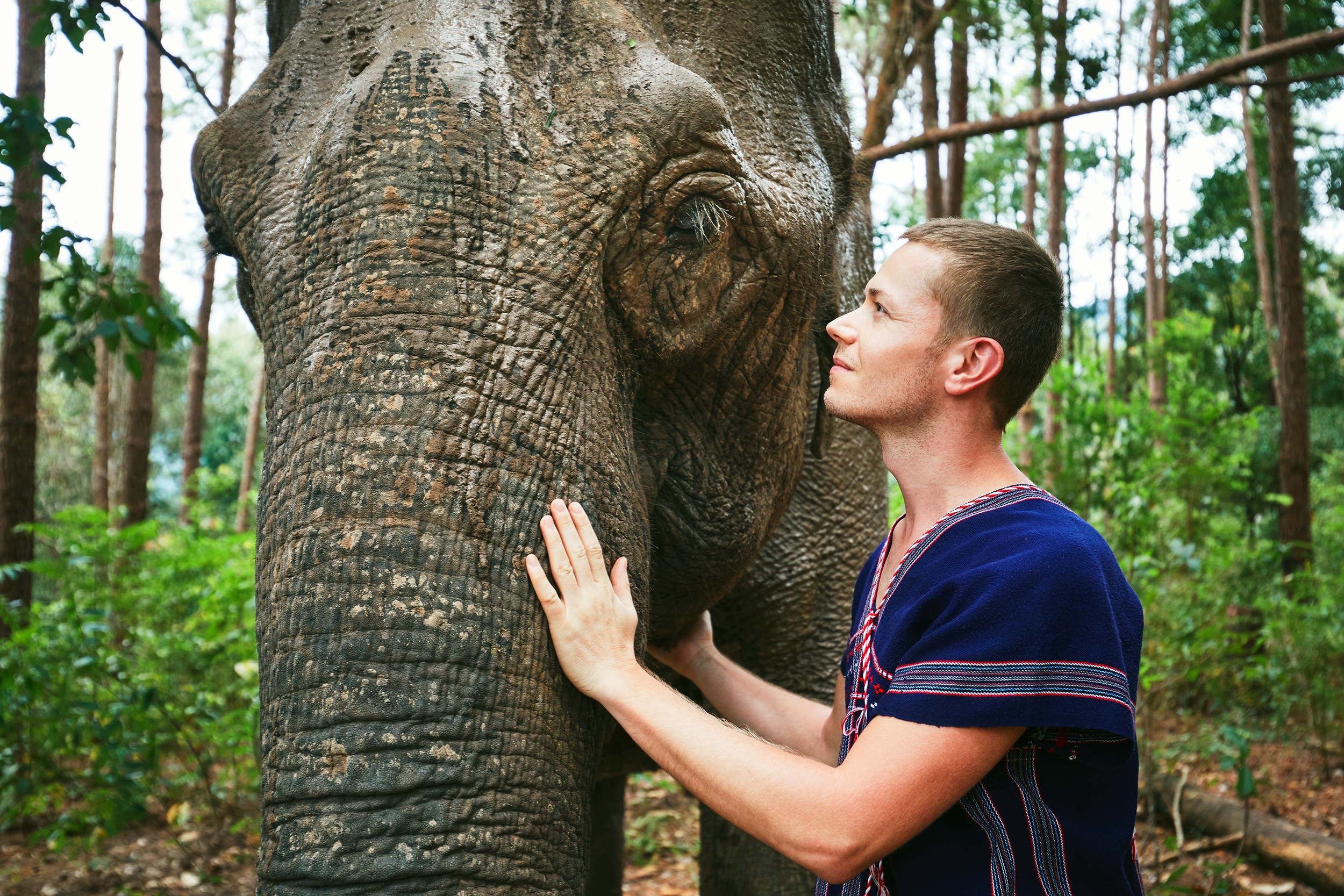 Man stroking an elephant in Thailand