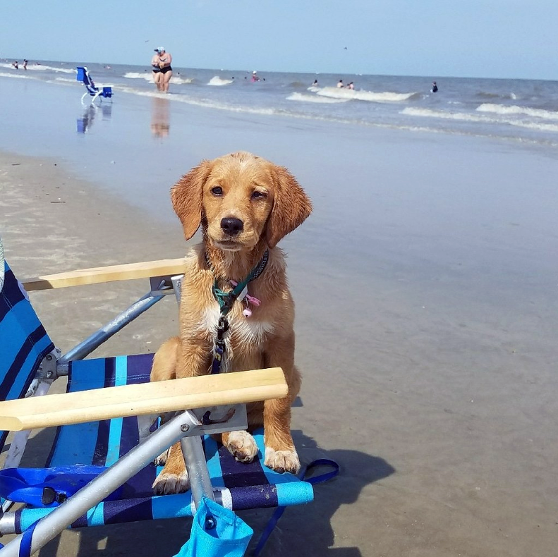 Jekyll Island Beach