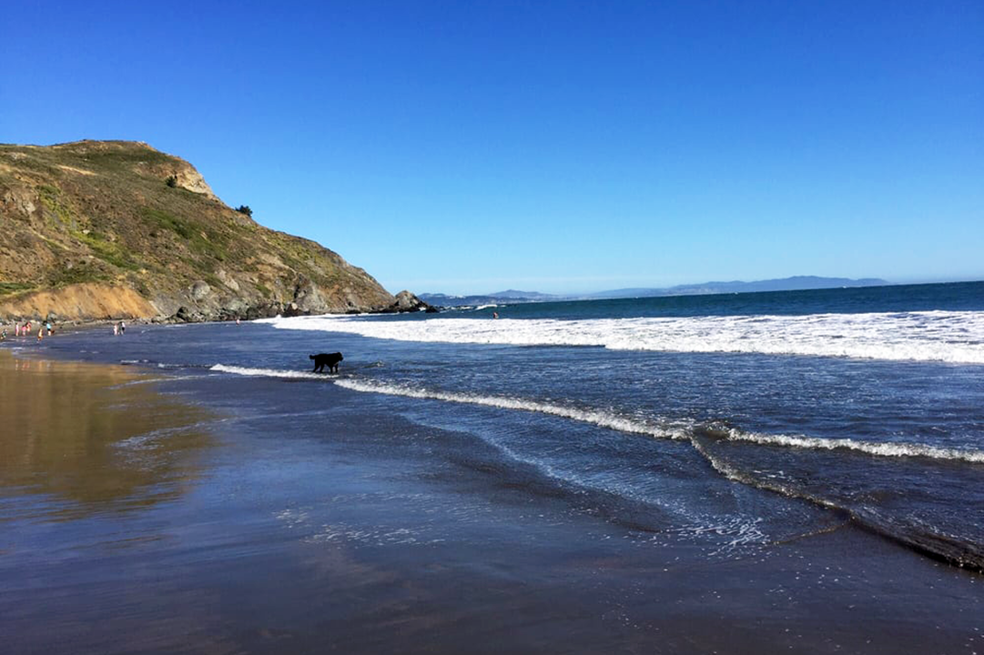 Muir Beach, San Francisco