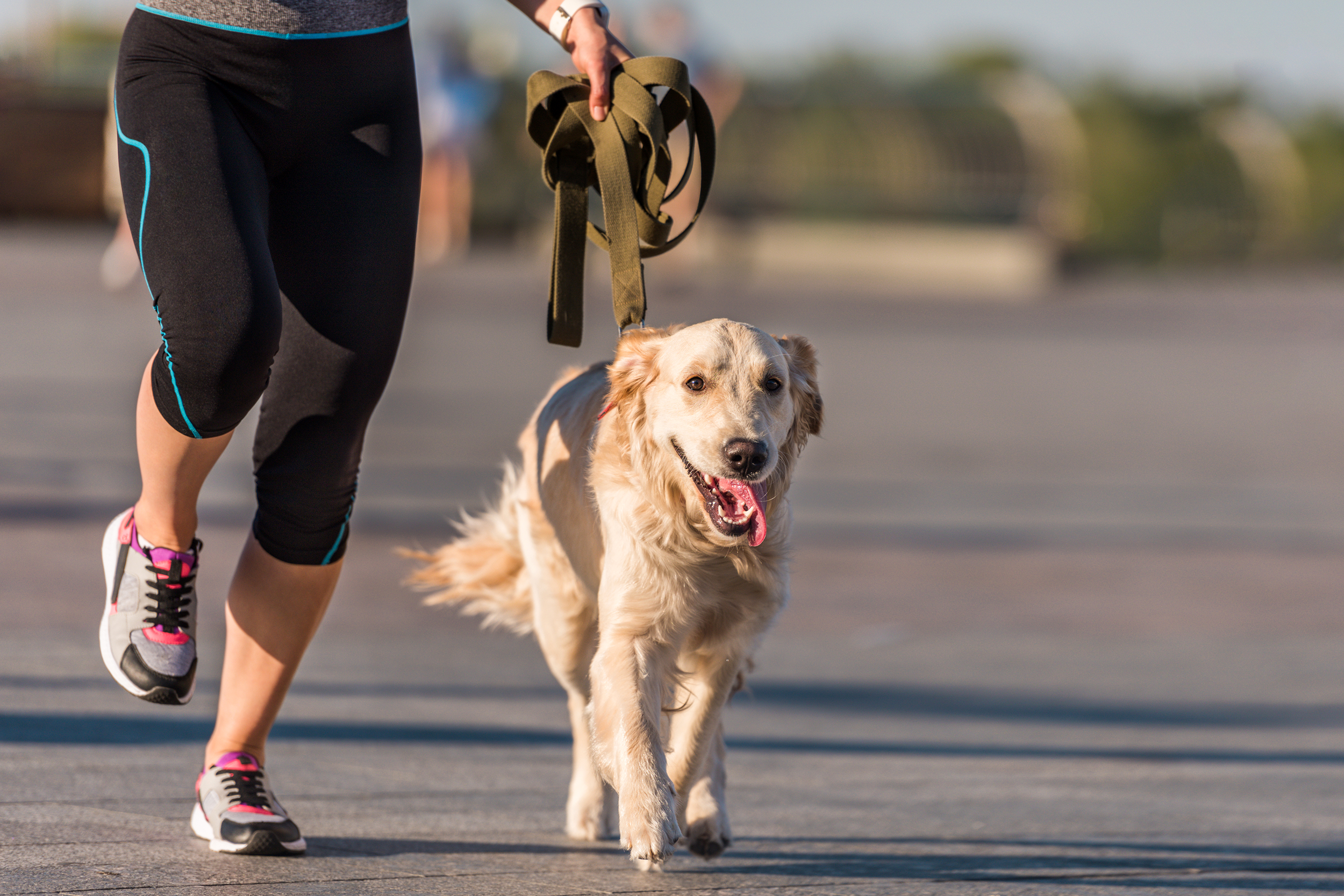 Running with your dog