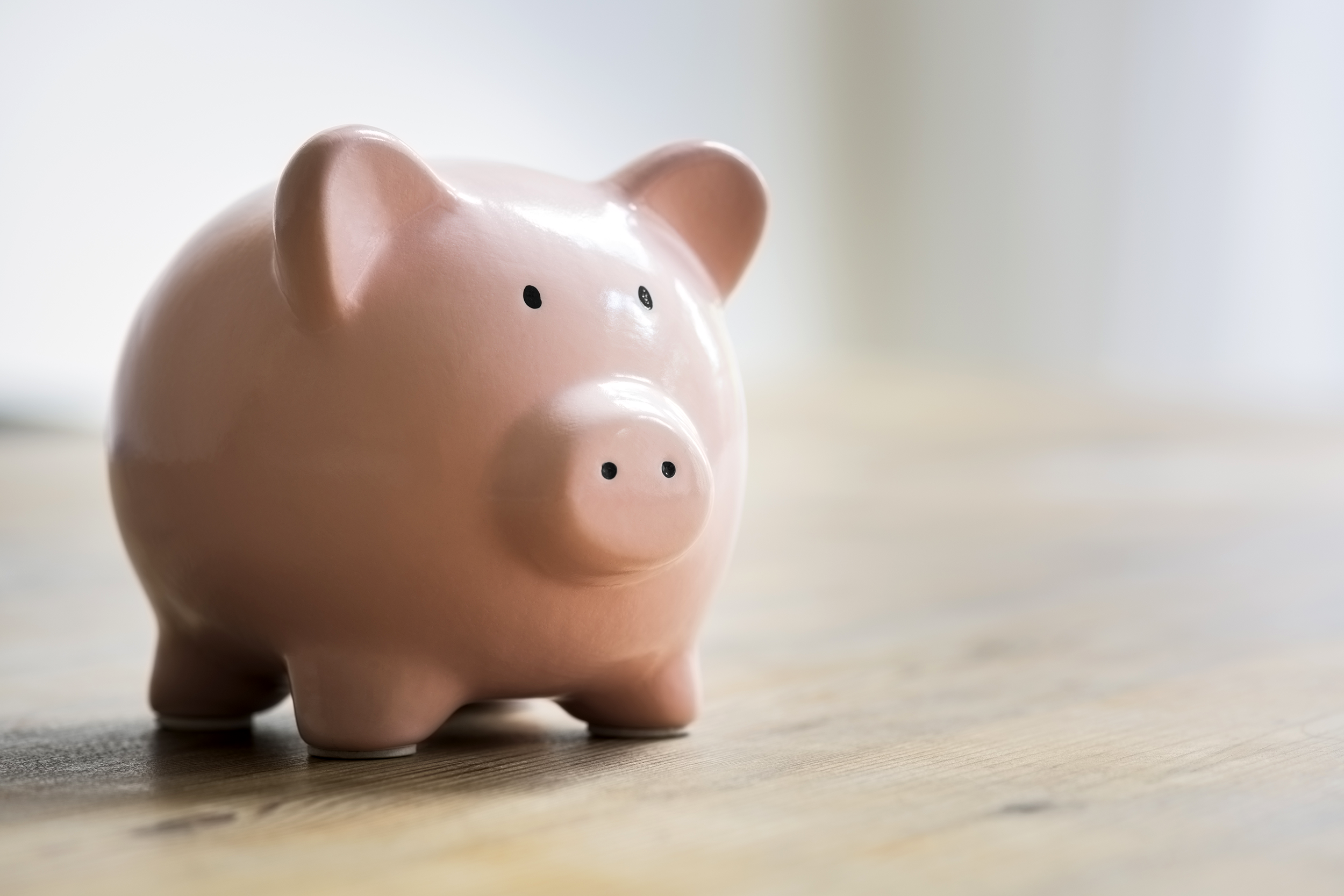 Piggy bank