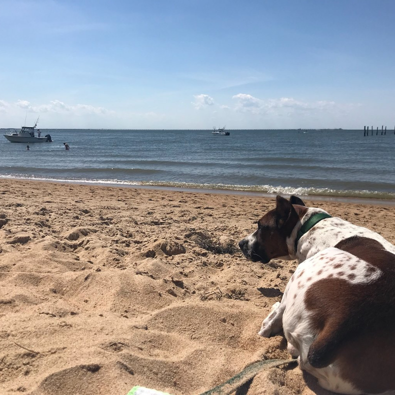Virginia Beach