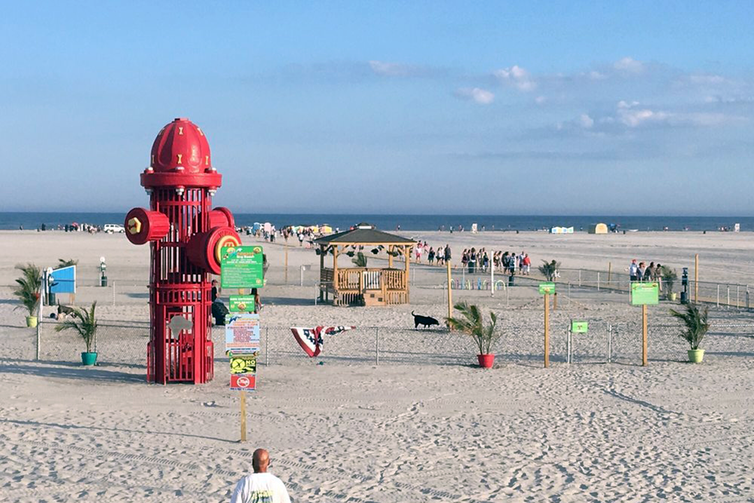 Wildwood Dog Beach