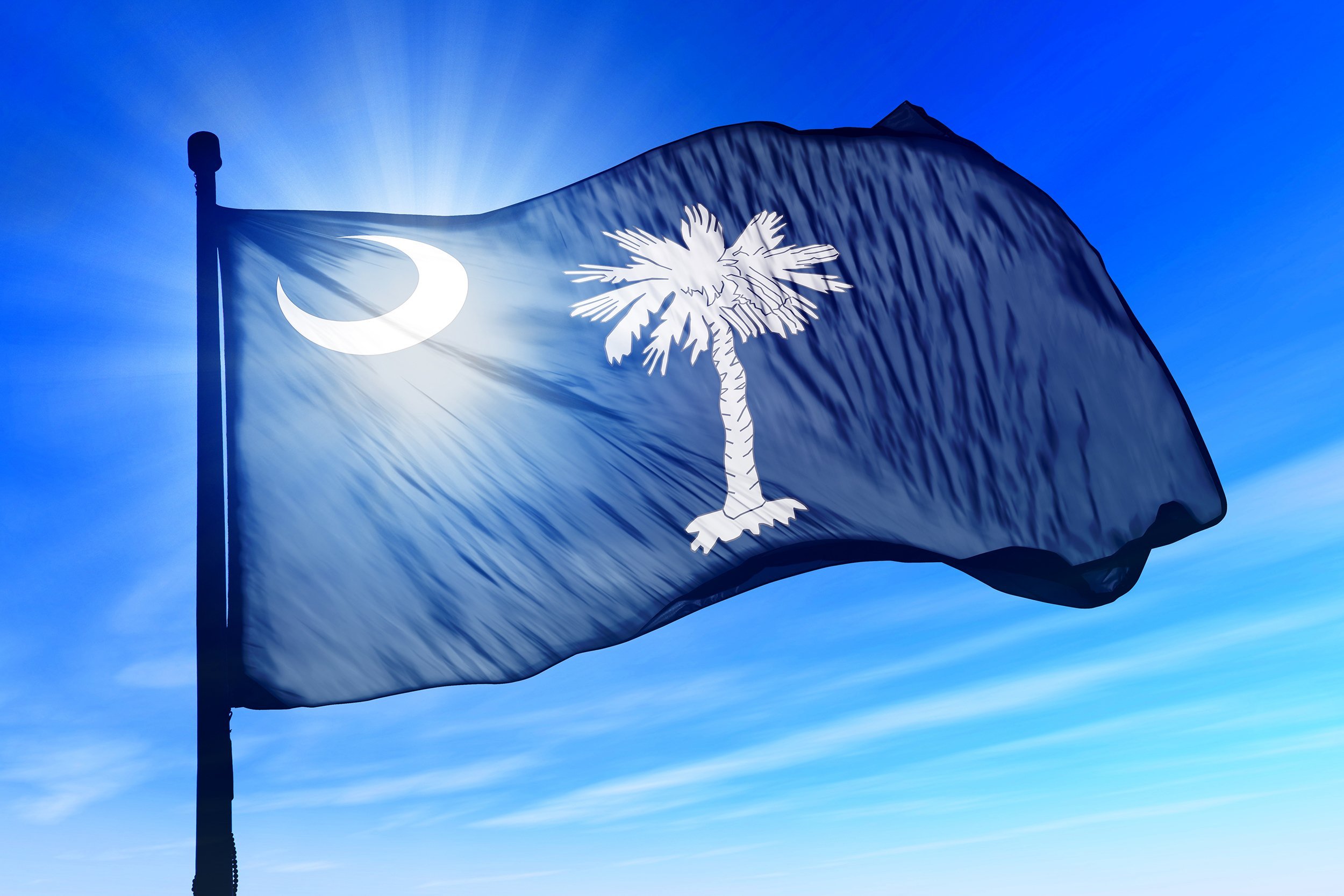 South Carolina flag