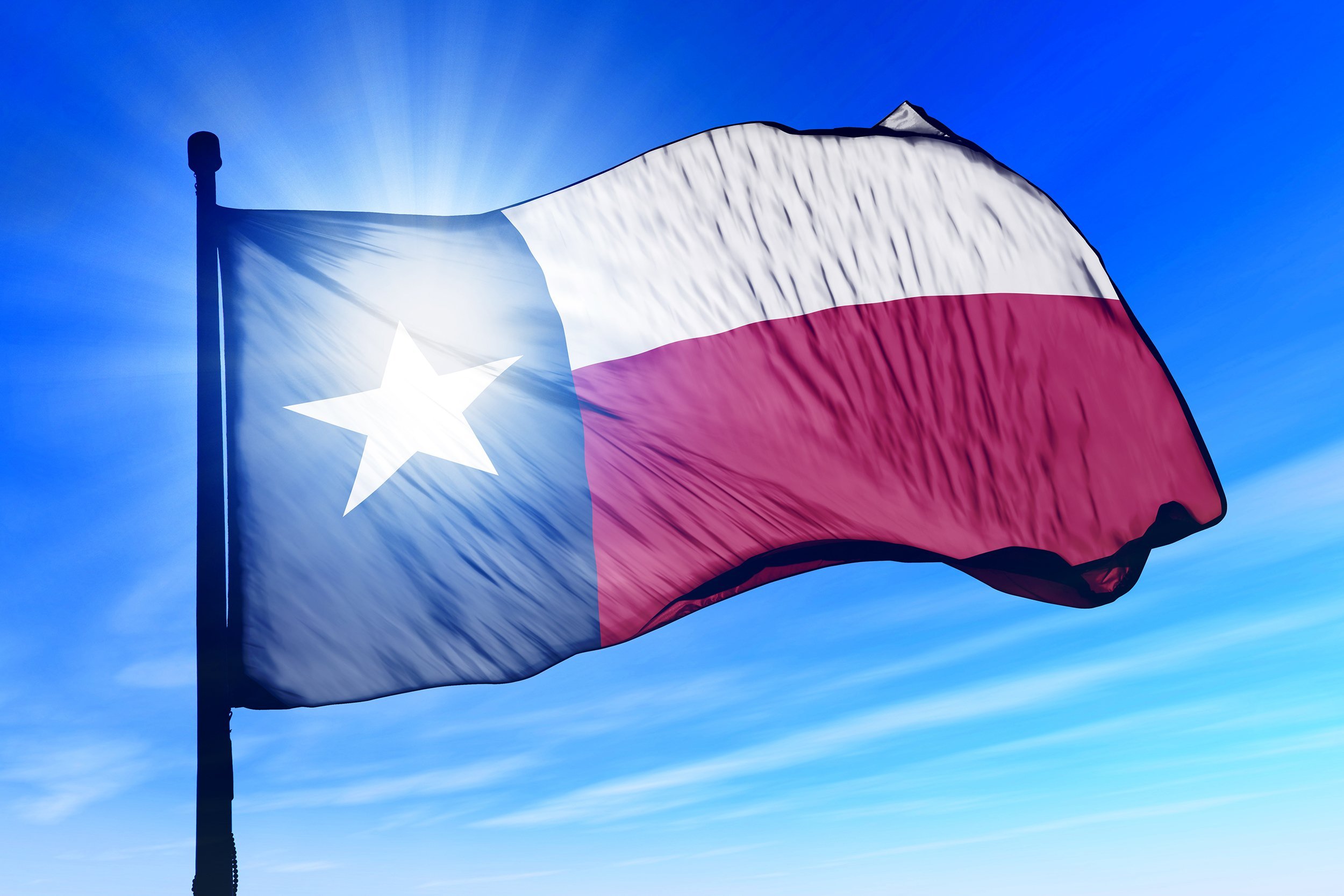 Texas flag